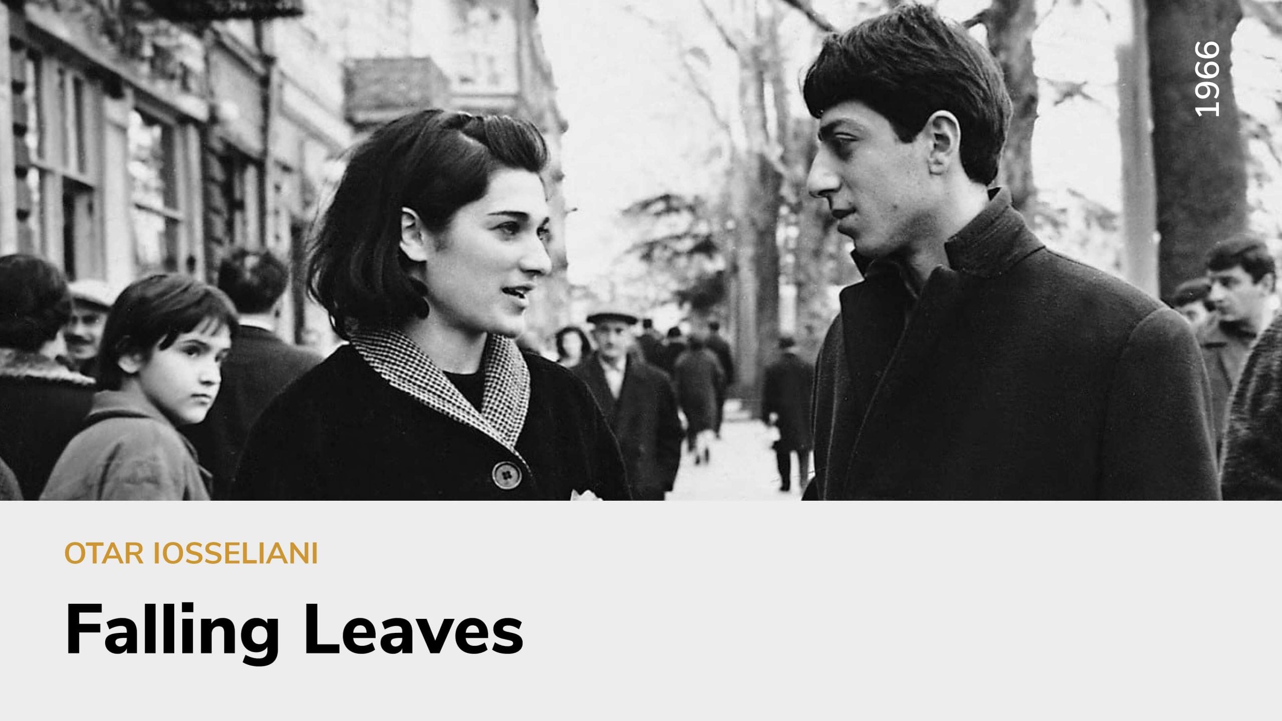 Falling Leaves