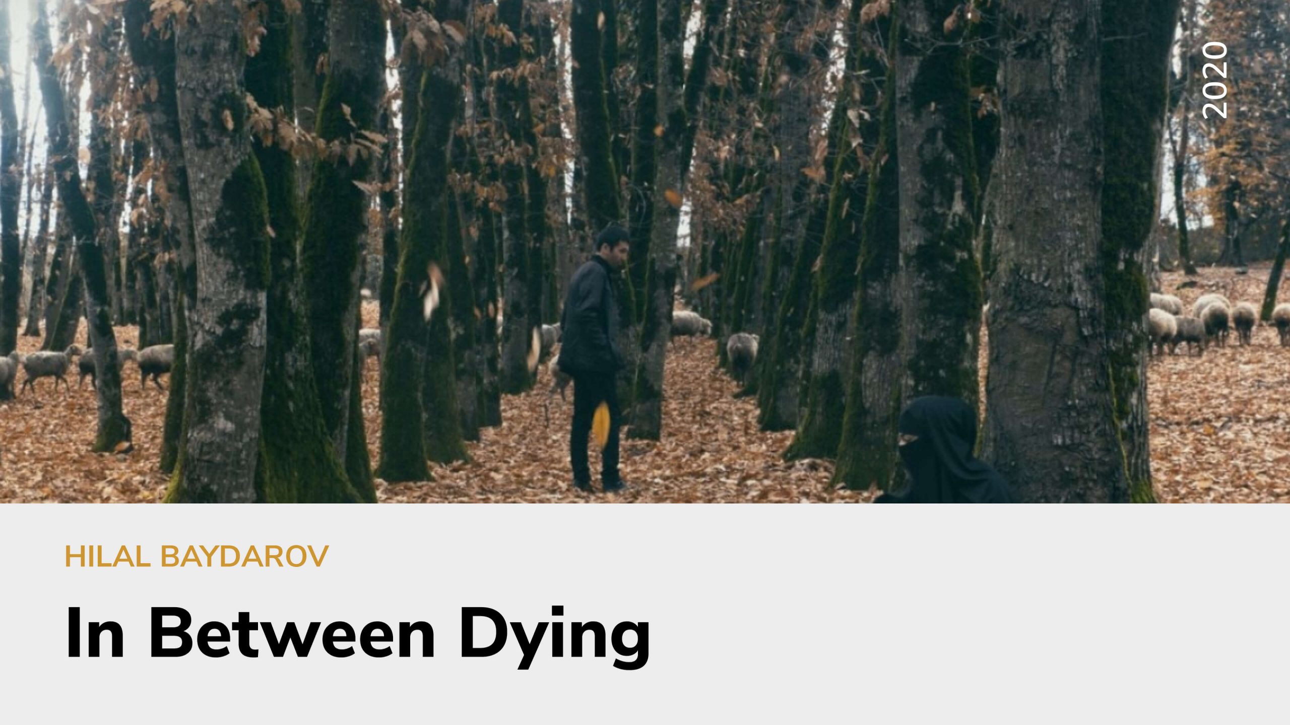 In Between Dying