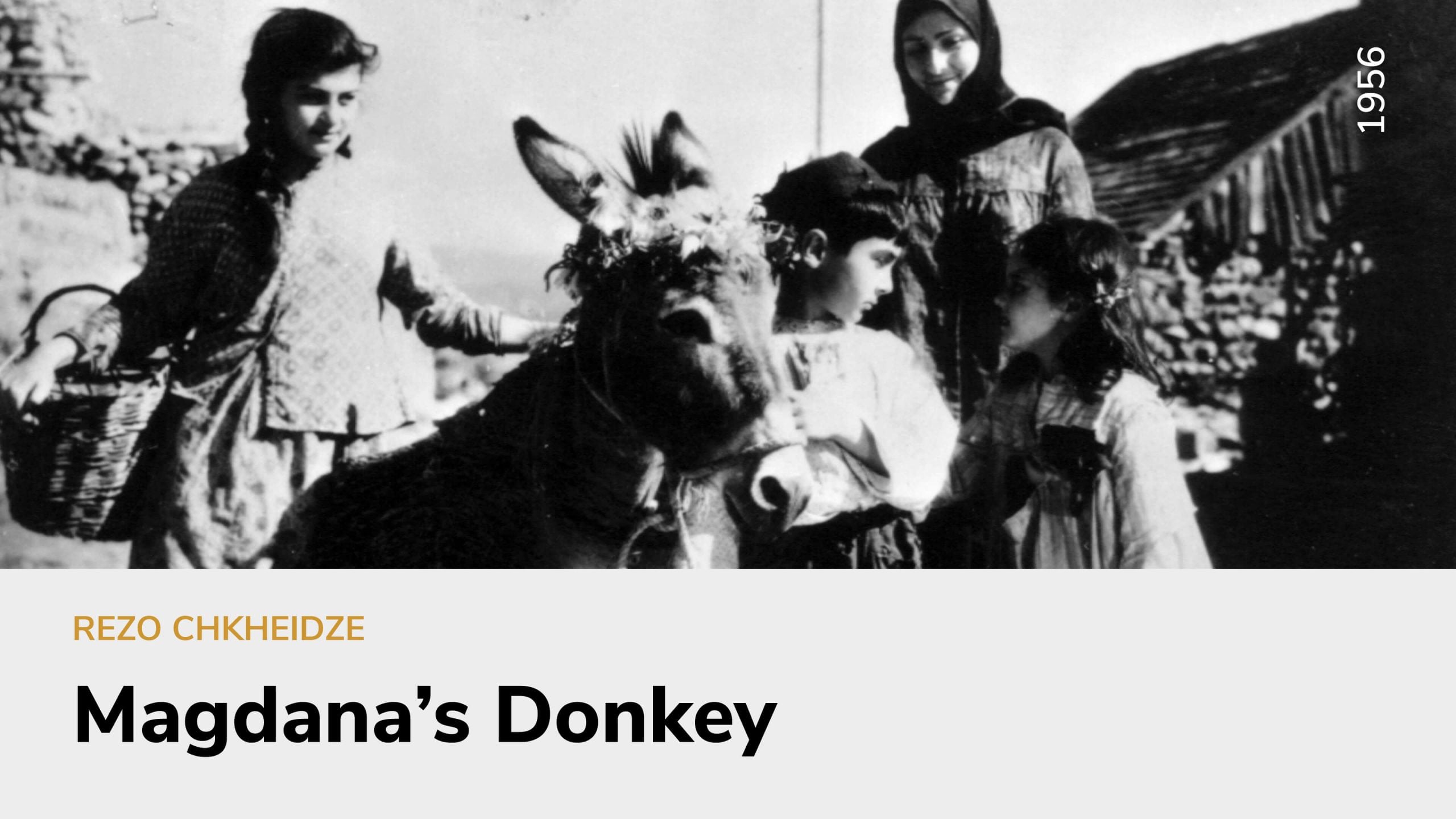 Magdana’s Donkey