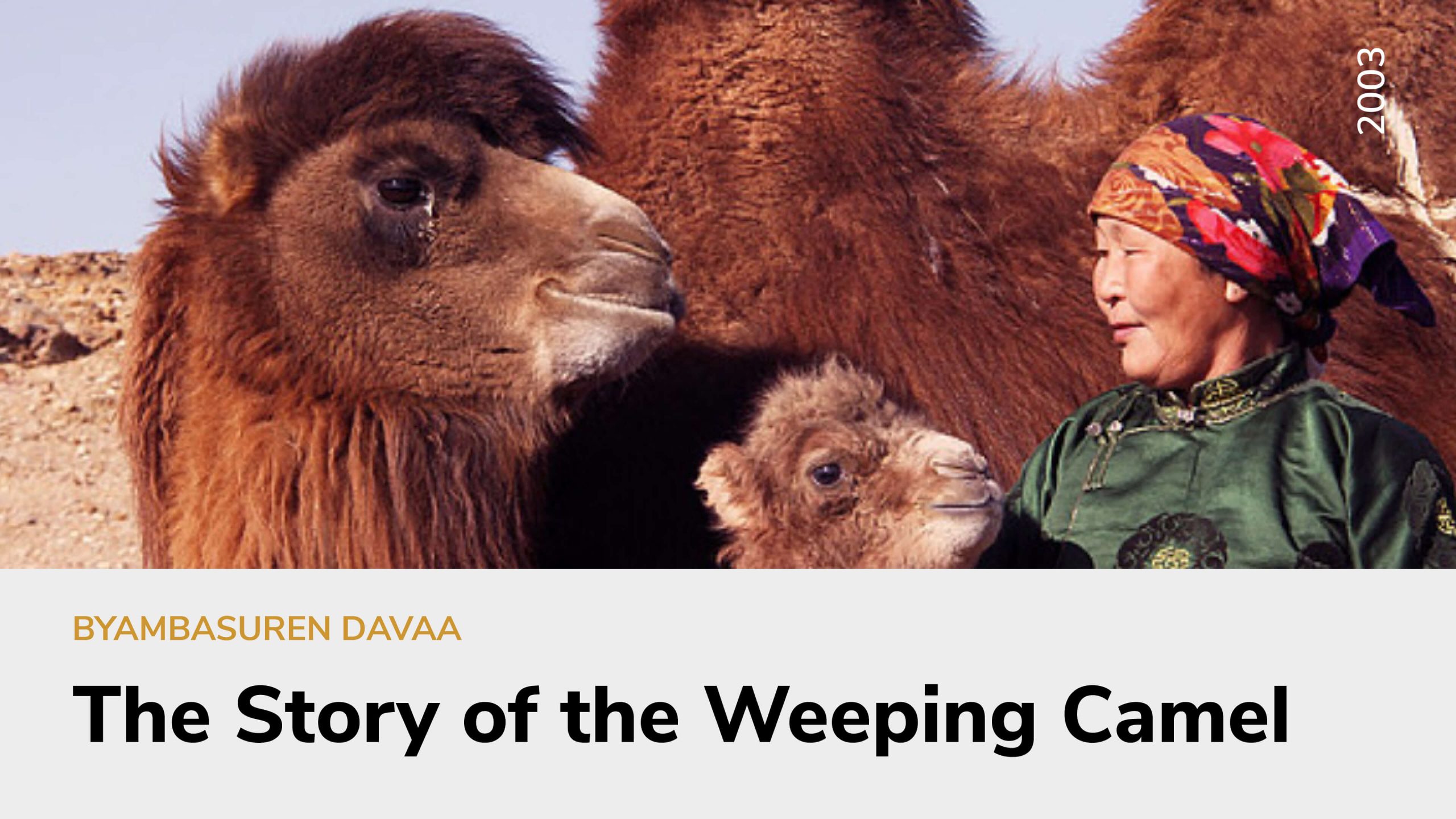 Story of the Weeping Camel