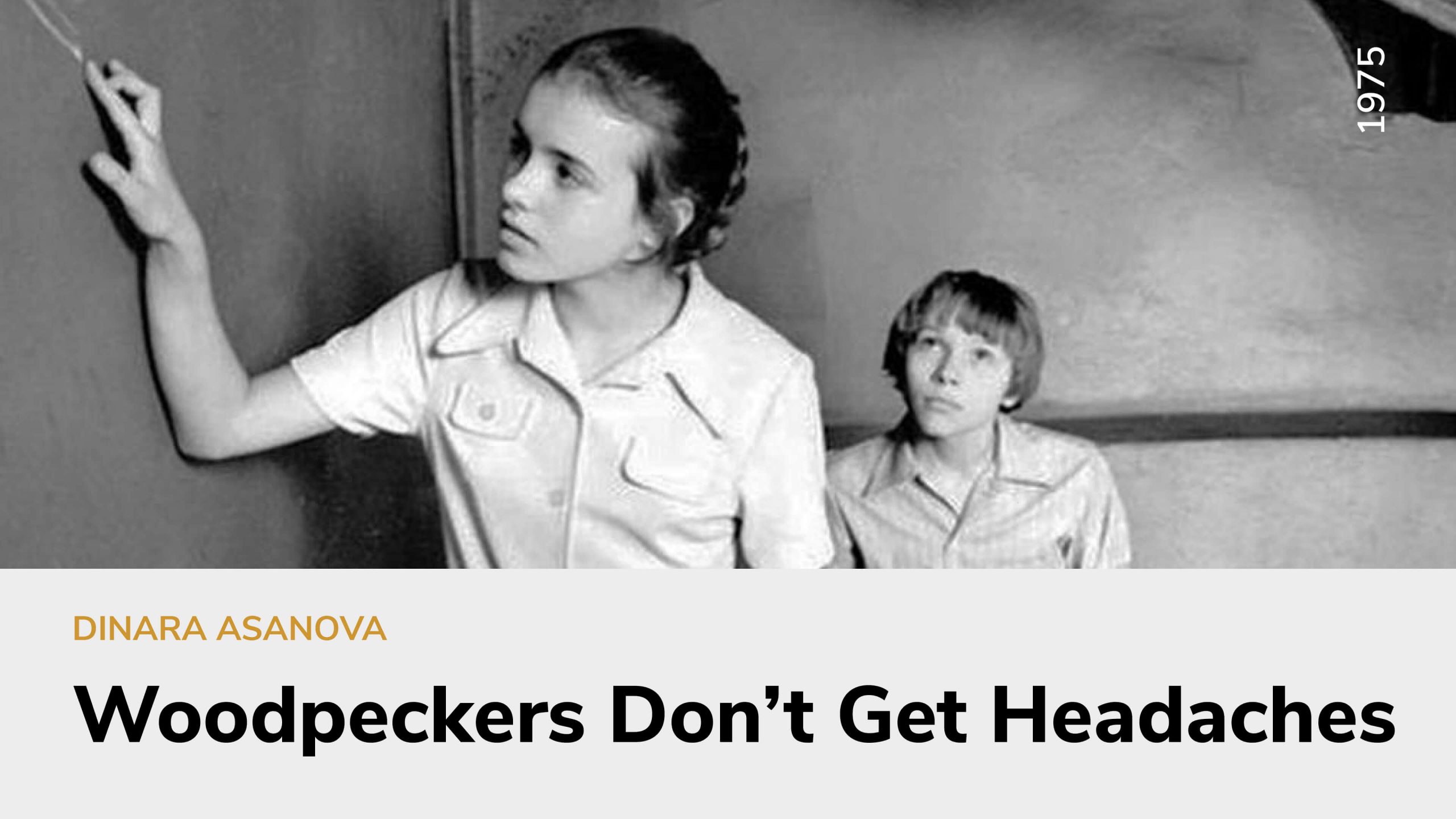 Woodpeckers Don’t Get Headaches