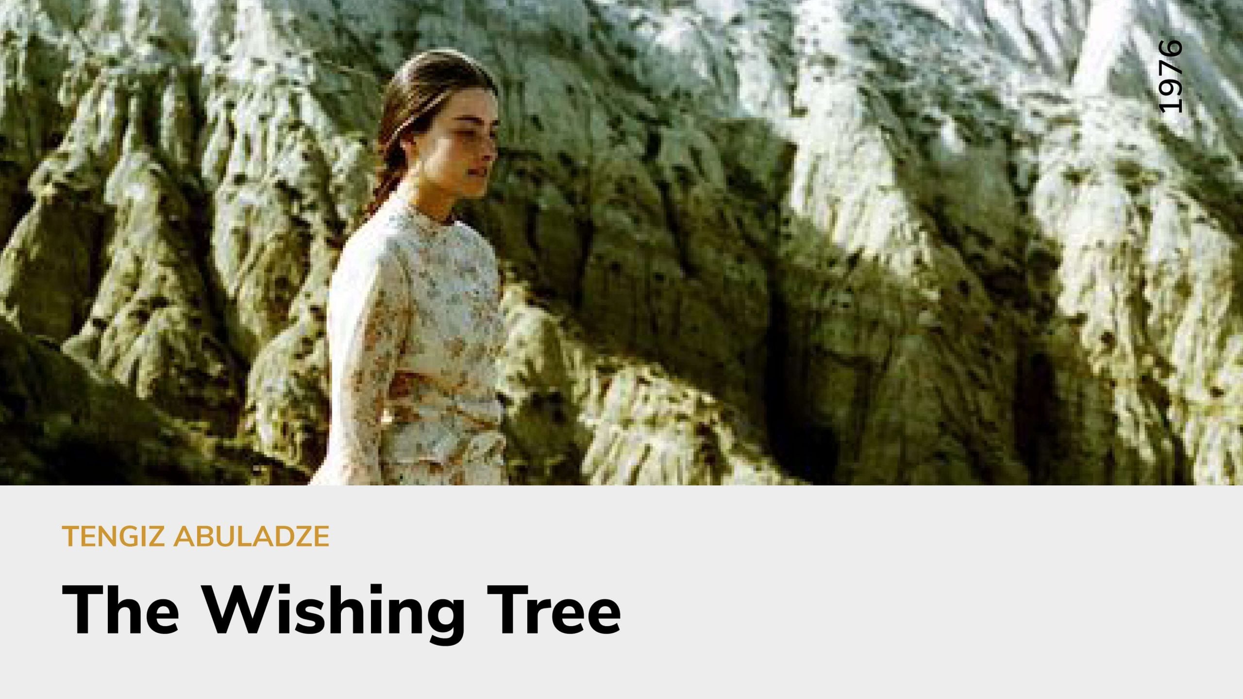 The Wishing Tree