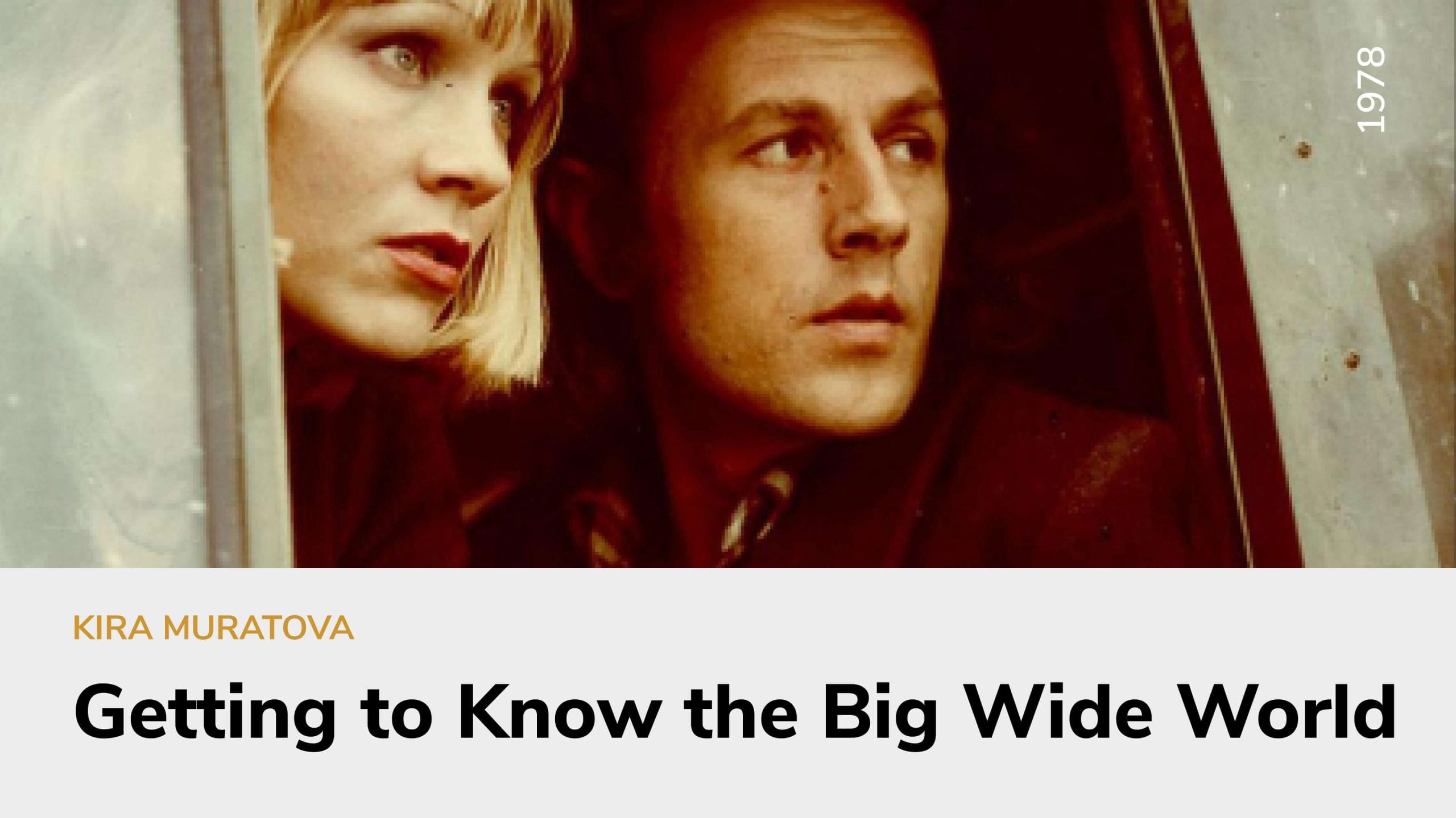 Getting to Know the Big, Wide World