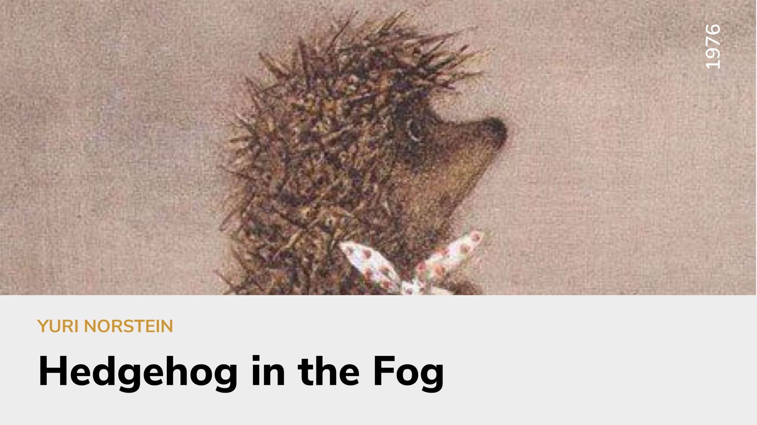 Hedgehog in the Fog