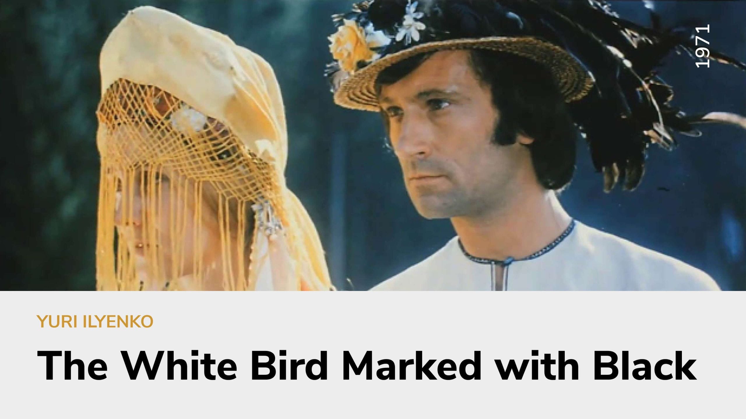 The White Bird Marked with Black
