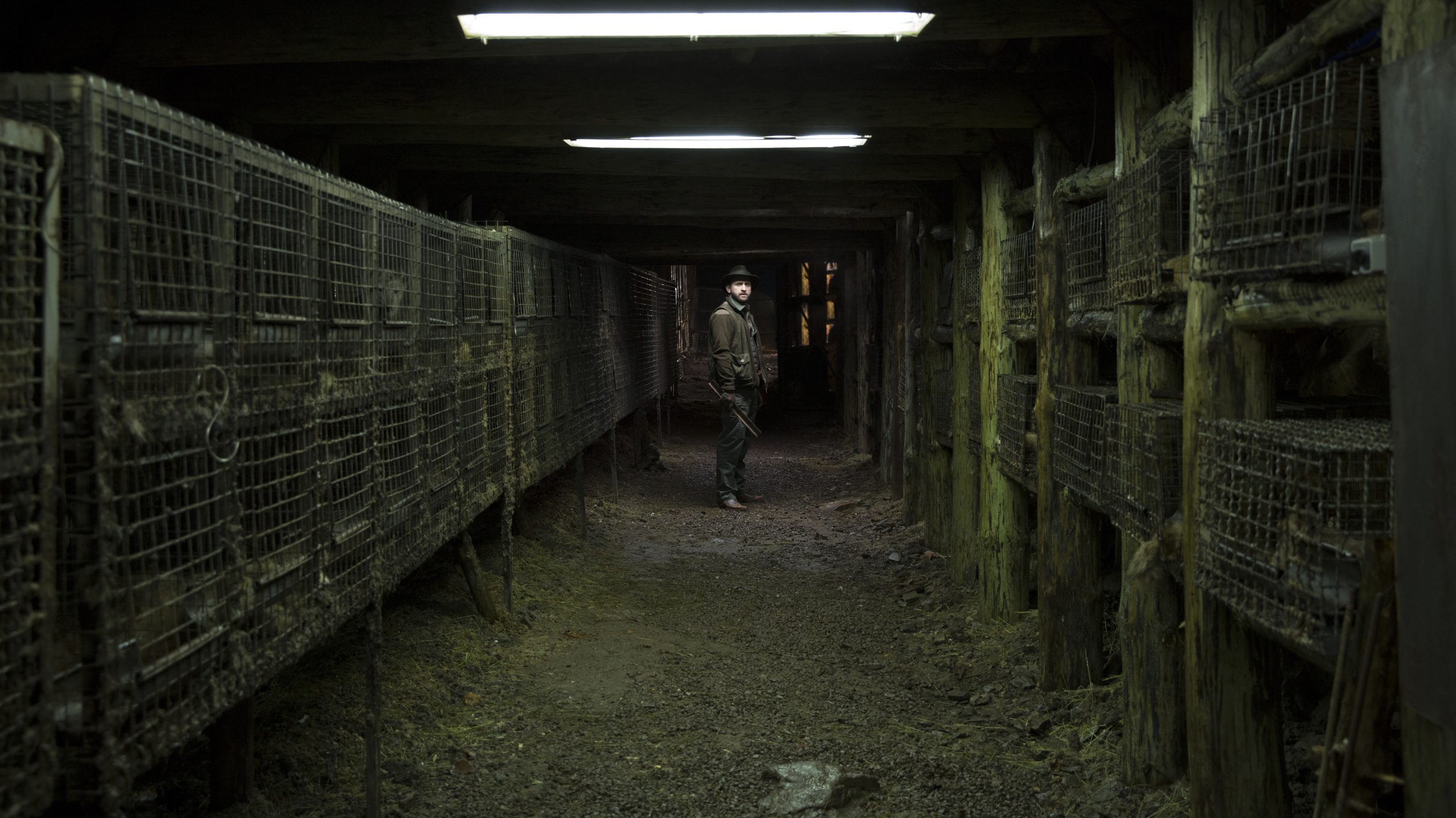 Spoor