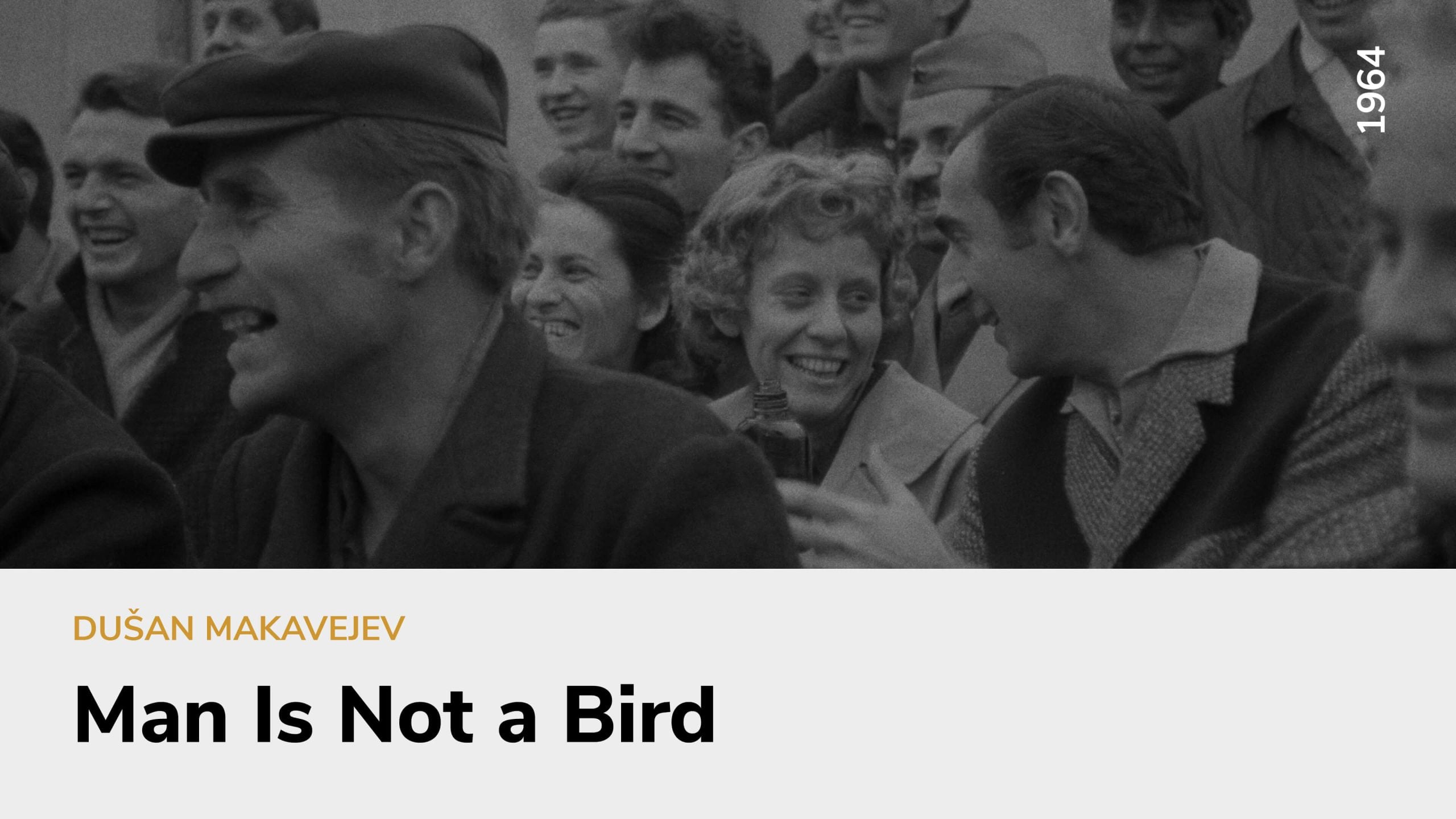 Man Is Not a Bird