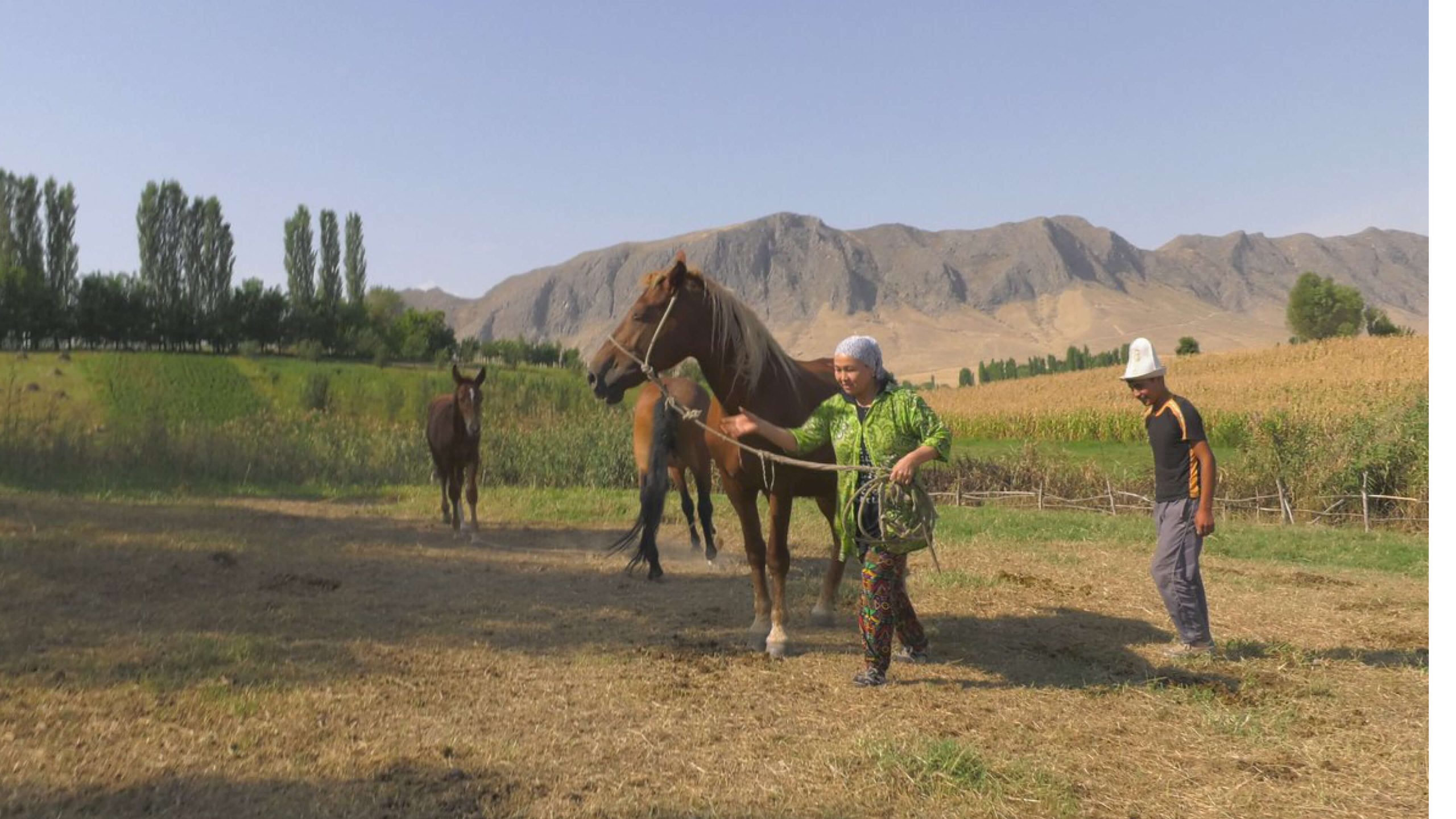 Atirkül in the Land of Real Men