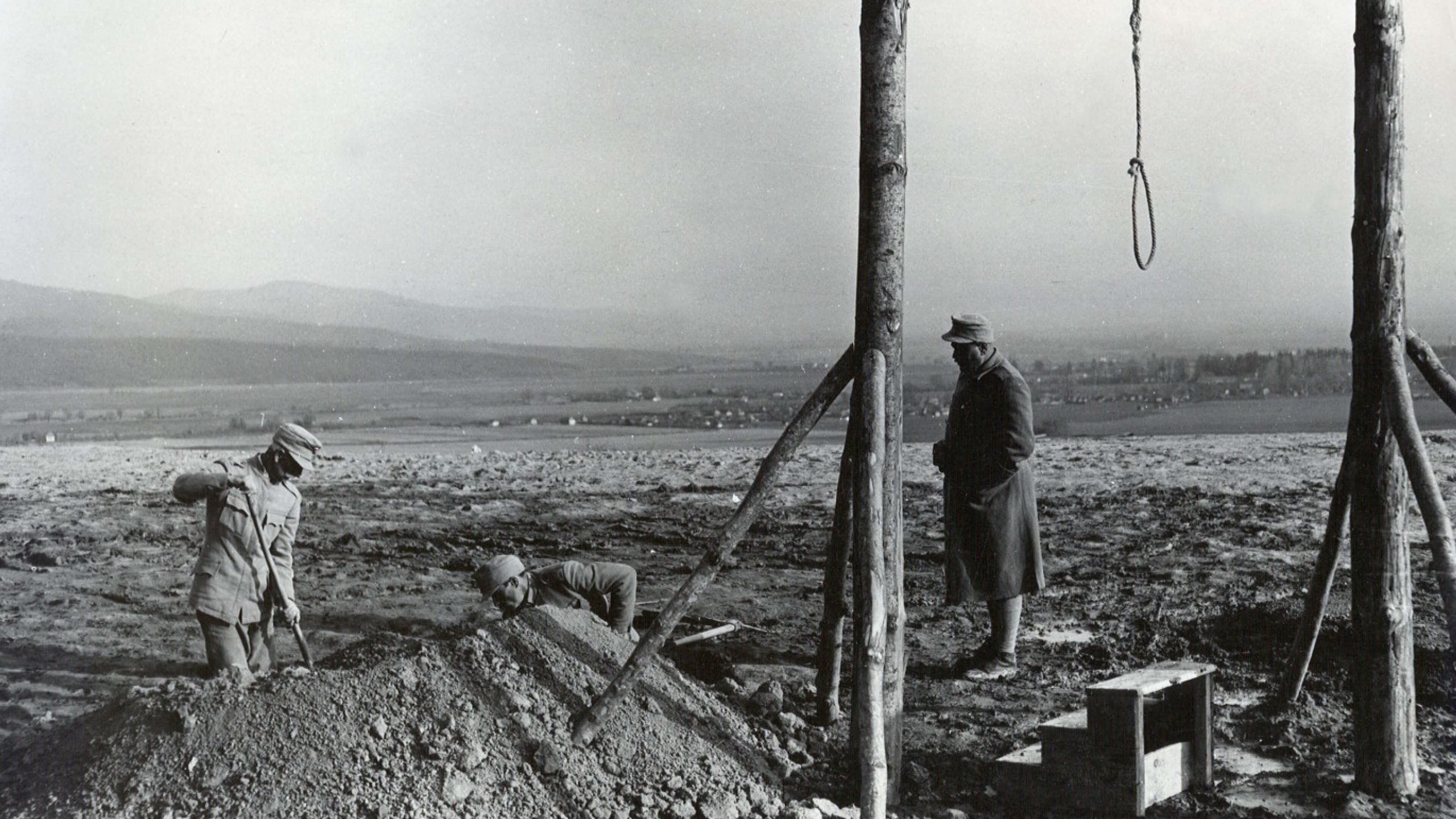 Forest of the Hanged