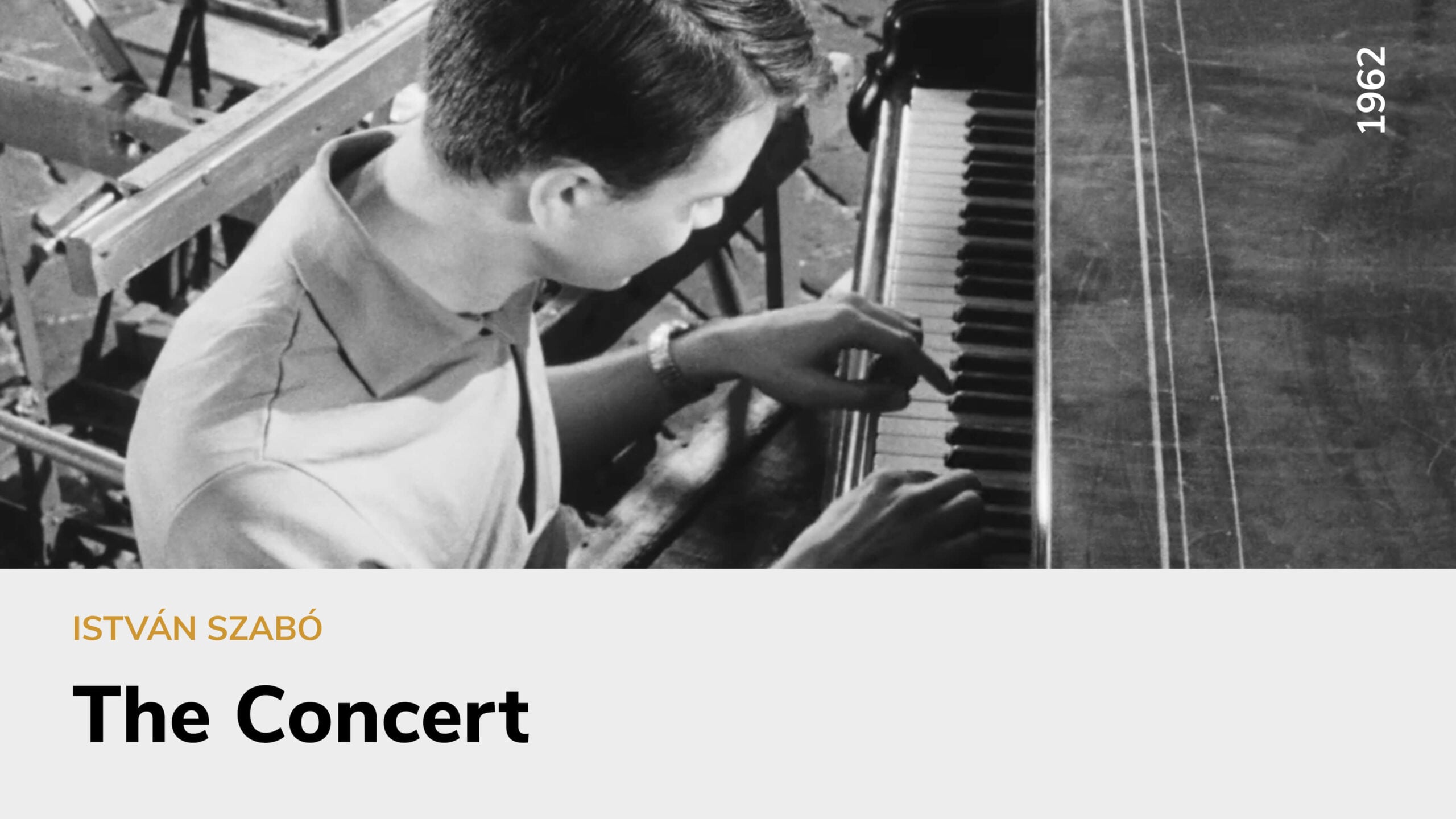 The Concert